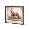 Prized Race Horse Framed Prints, 6 Assorted Styles (Back Order)