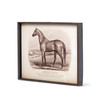 Prized Race Horse Framed Prints, 6 Assorted Styles (Back Order)