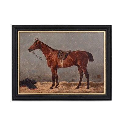 English Riding Horse