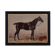 English Riding Horse
