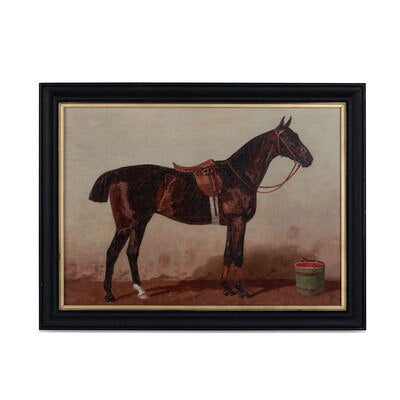English Riding Horse